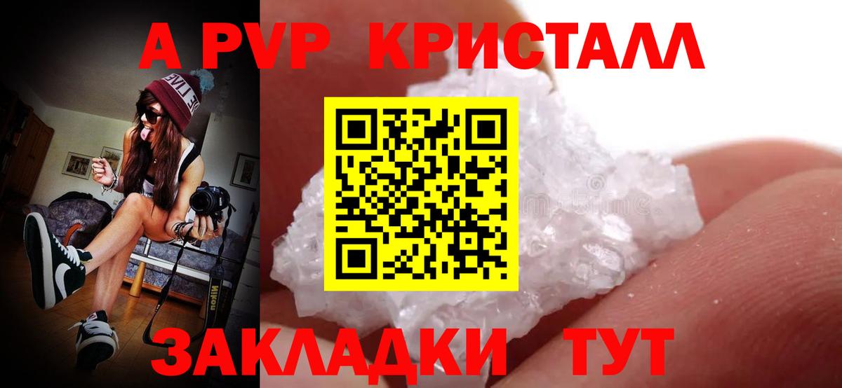 Альфа ПВП СК КРИС Ухта